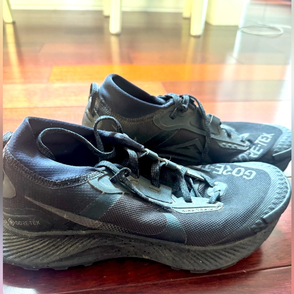 Nike Pegasus Trail 3 Gore-Tex - Women’s Size 8